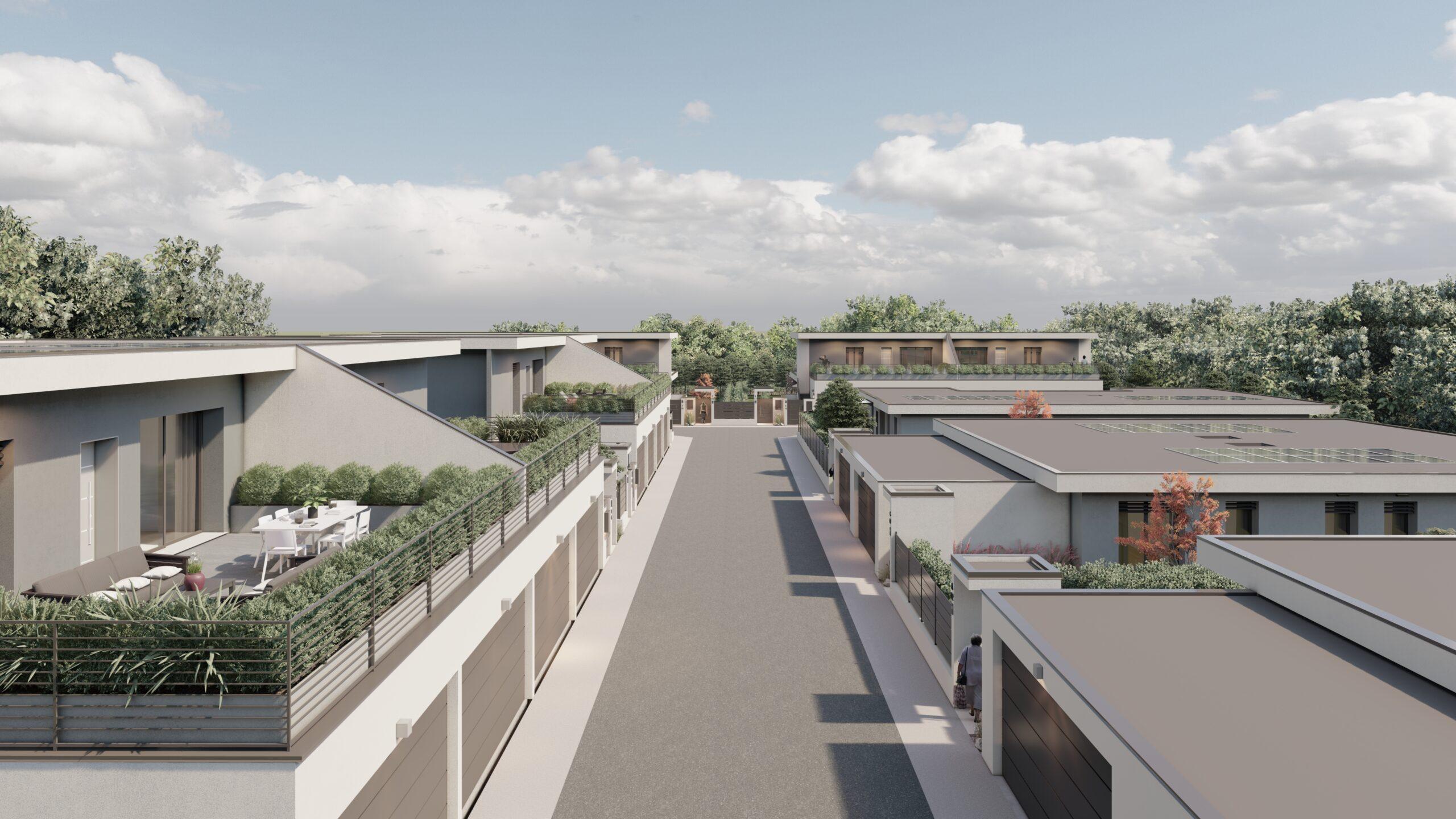 71_Volo d'uccello 02