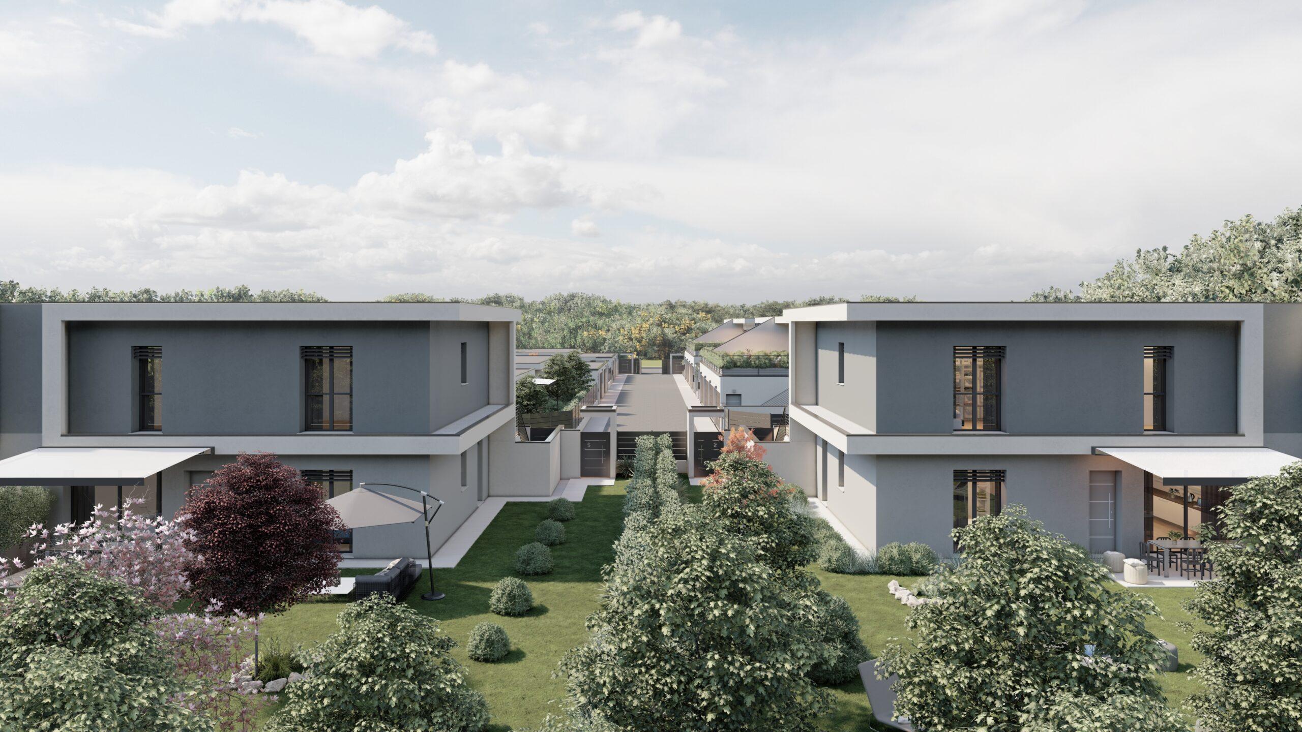 73_Volo d'uccello 04